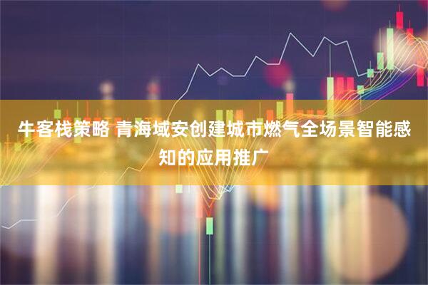 牛客栈策略 青海域安创建城市燃气全场景智能感知的应用推广