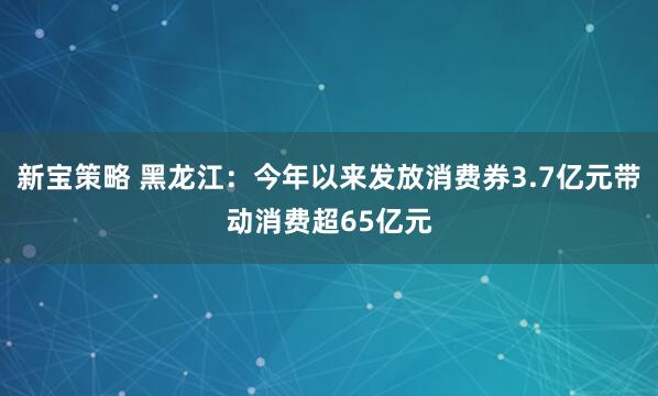 新宝策略 黑龙江：今年以来发放消费券3.7亿元带动消费超65亿元