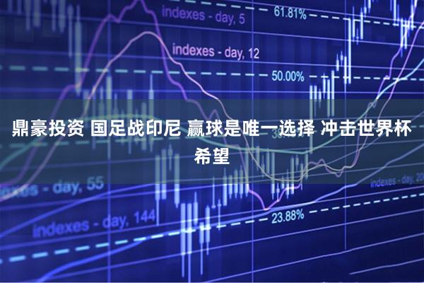 鼎豪投资 国足战印尼 赢球是唯一选择 冲击世界杯希望