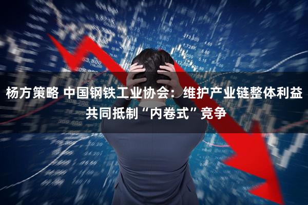 杨方策略 中国钢铁工业协会：维护产业链整体利益 共同抵制“内卷式”竞争