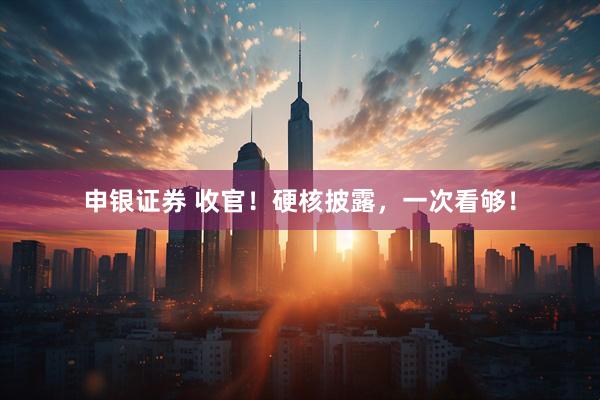 申银证券 收官！硬核披露，一次看够！