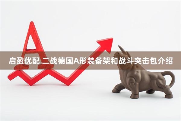 启盈优配 二战德国A形装备架和战斗突击包介绍
