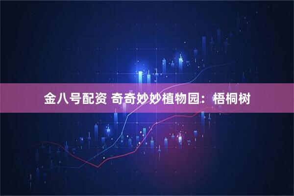 金八号配资 奇奇妙妙植物园：梧桐树