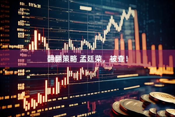 翻翻策略 孟廷荣，被查！
